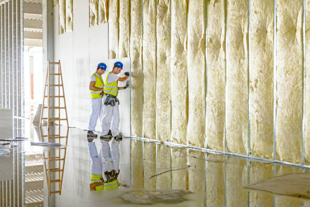 Best Residential Insulation in Gridley, IL